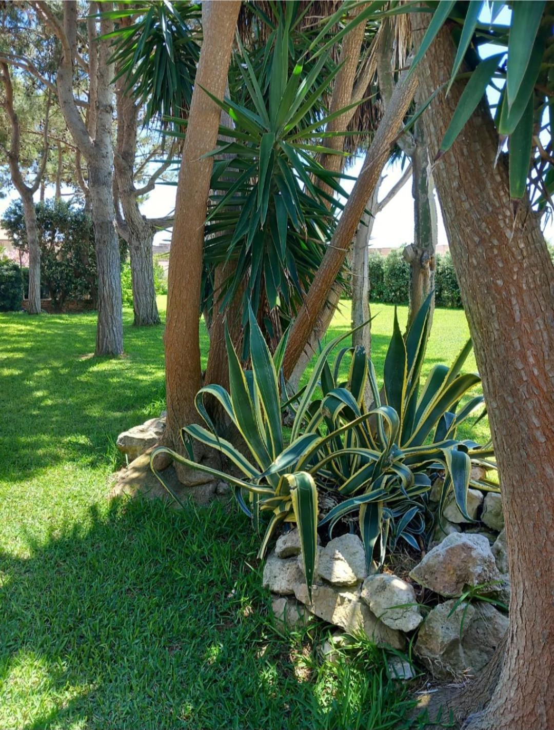 Blu Vacanze Residence Favignana Exterior foto